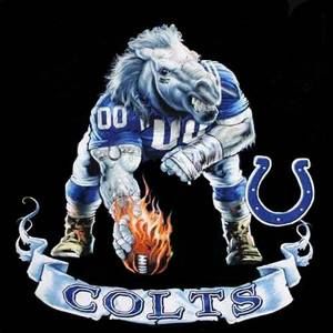 Meet your Posher, Dylan